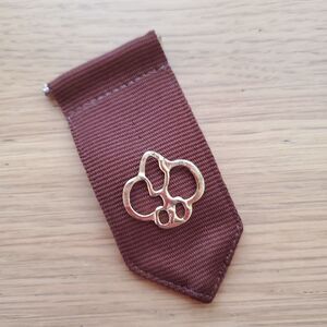 Vintage 90s Girl Scout Brownie Pin Set